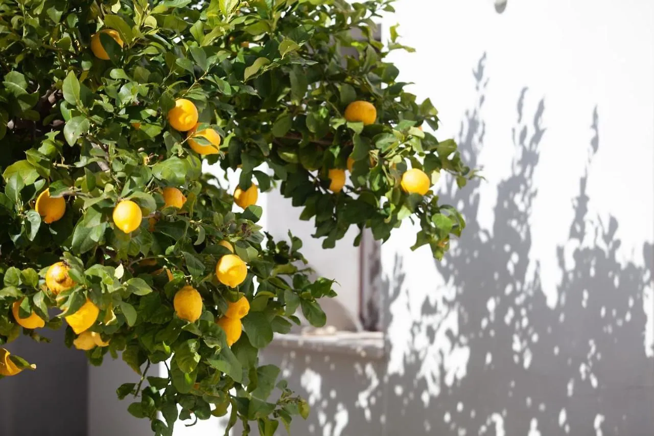Guest house Arbaria Hotel Trapani